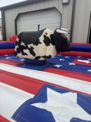 449527955 998876958912630 5593465546034882915 n 1720373570 1 Patriotic Mechanical Bull